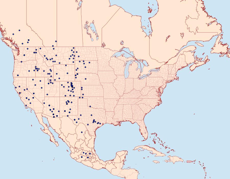 Distribution Data for Pterourus multicaudata