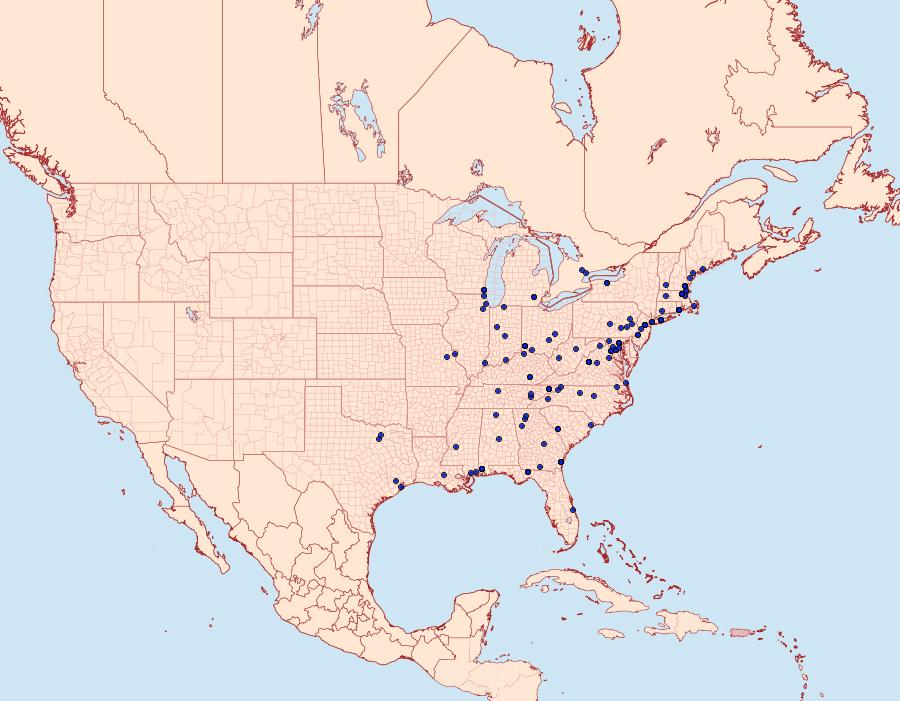 Distribution Data for Monopis longella