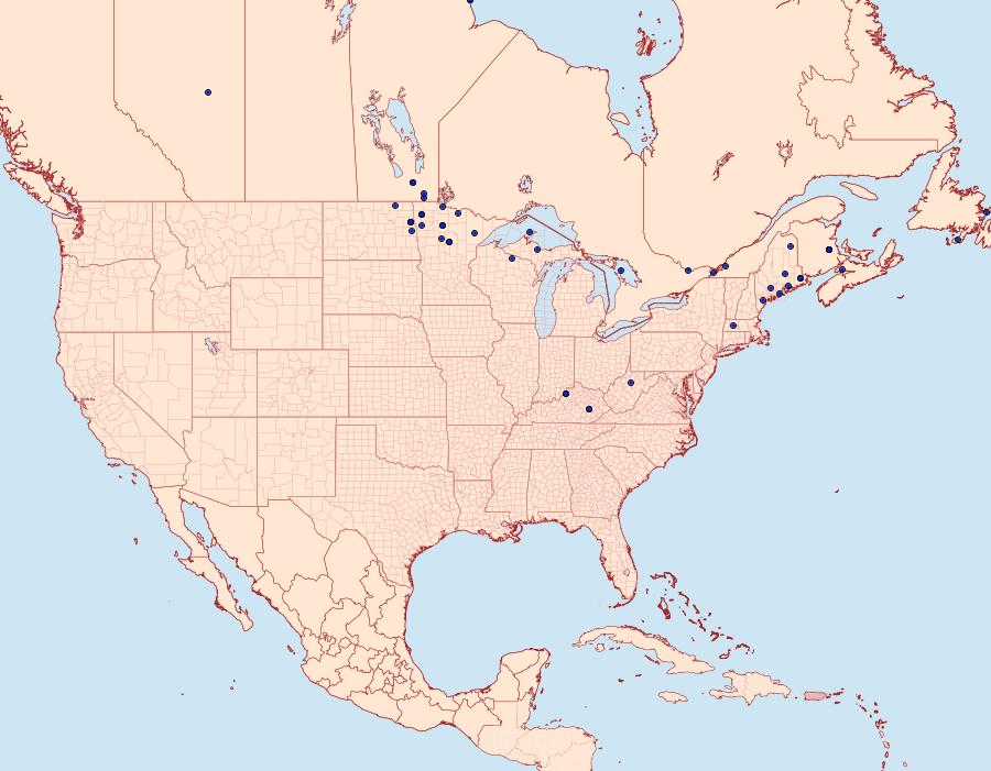 Distribution Data for Monopis monachella