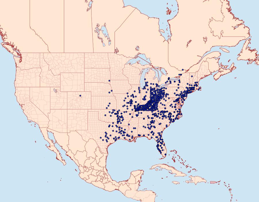 Distribution Data for Pterourus troilus