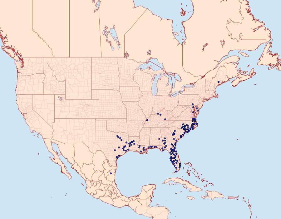 Distribution Data for Pterourus palamedes