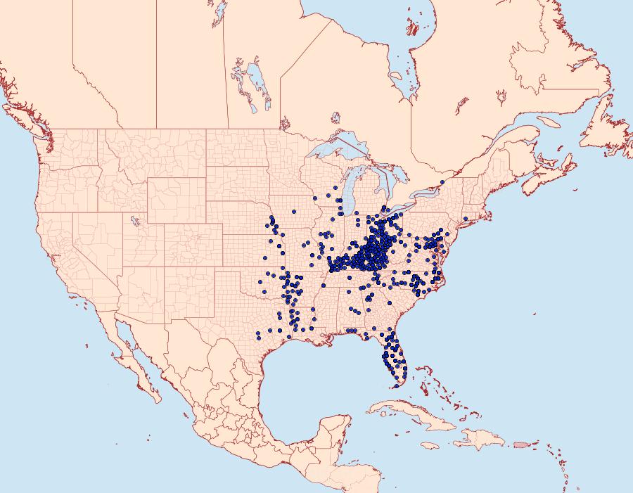 Distribution Data for Eurytides marcellus