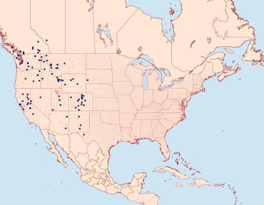 Distribution Data for Neophasia menapia