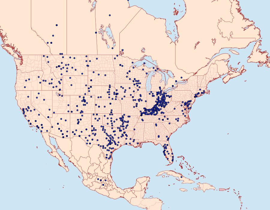 Distribution Data for Pontia protodice