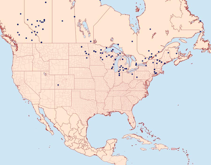 Distribution Data for Pieris oleracea