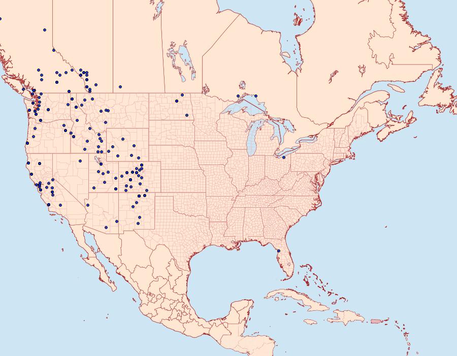 Distribution Data for Pieris marginalis