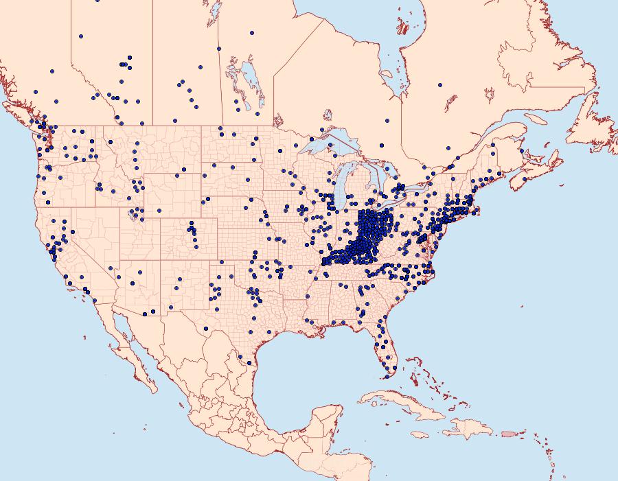 Distribution Data for Pieris rapae