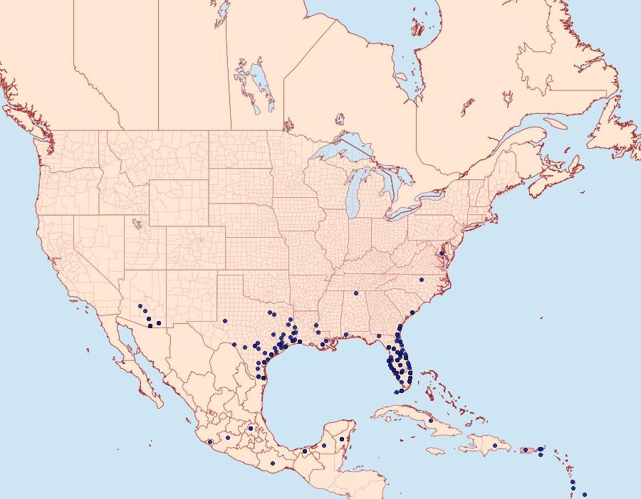 Distribution Data for Ascia monuste