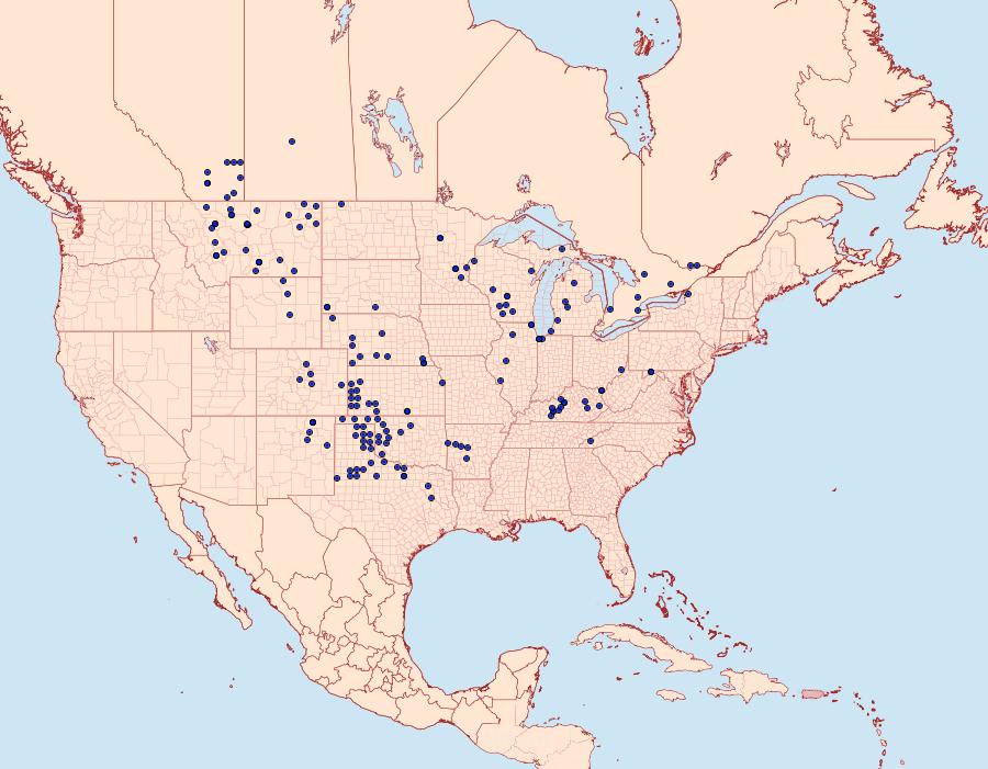 Distribution Data for Euchloe olympia