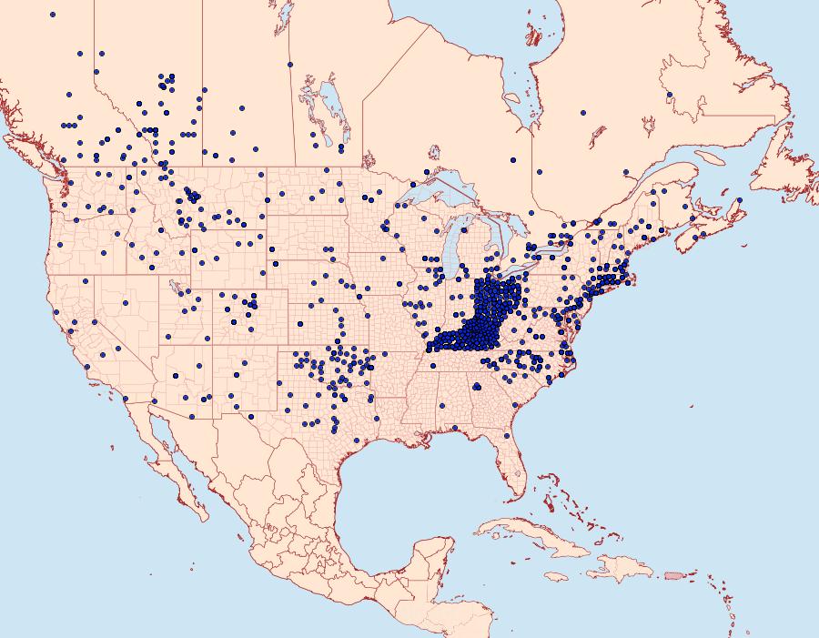 Distribution Data for Colias philodice