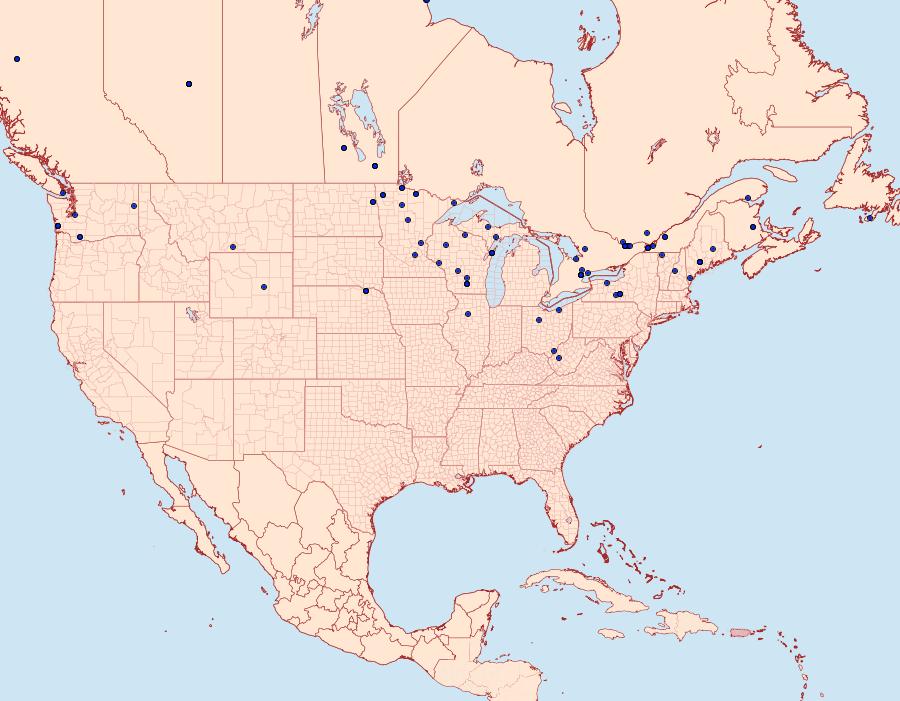 Distribution Data for Monopis spilotella