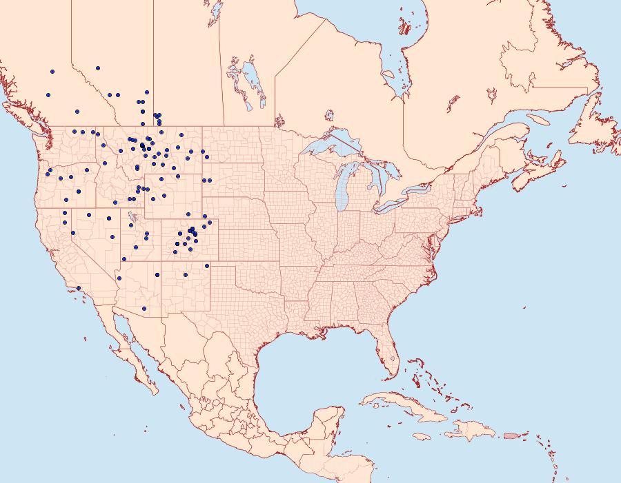 Distribution Data for Colias alexandra