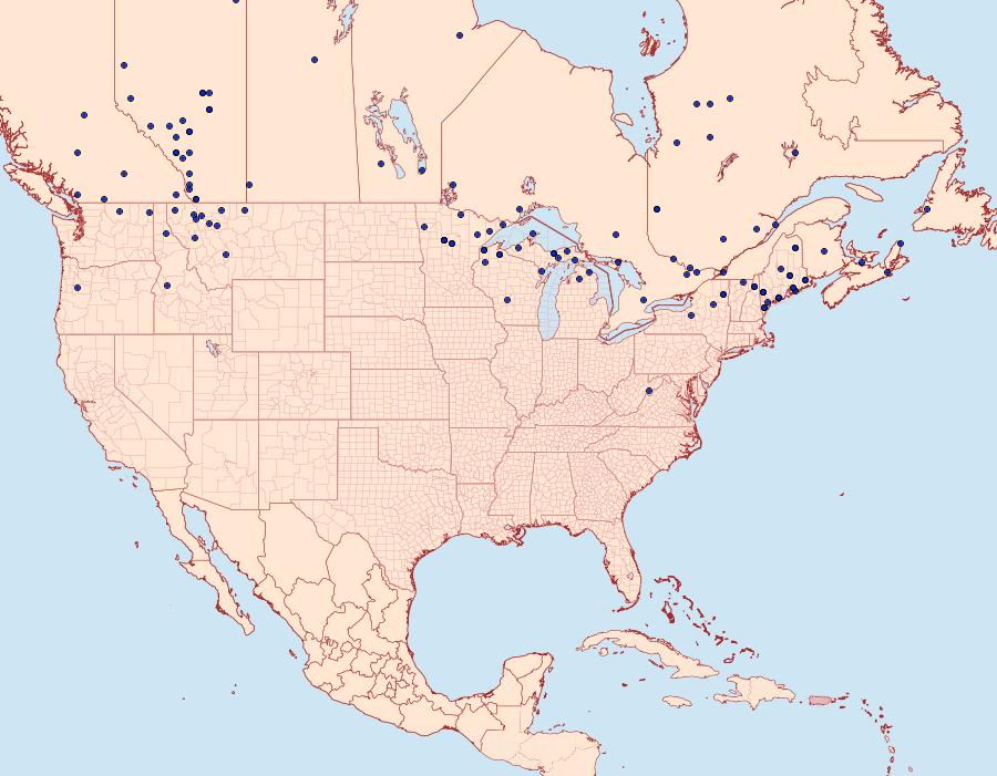 Distribution Data for Colias interior