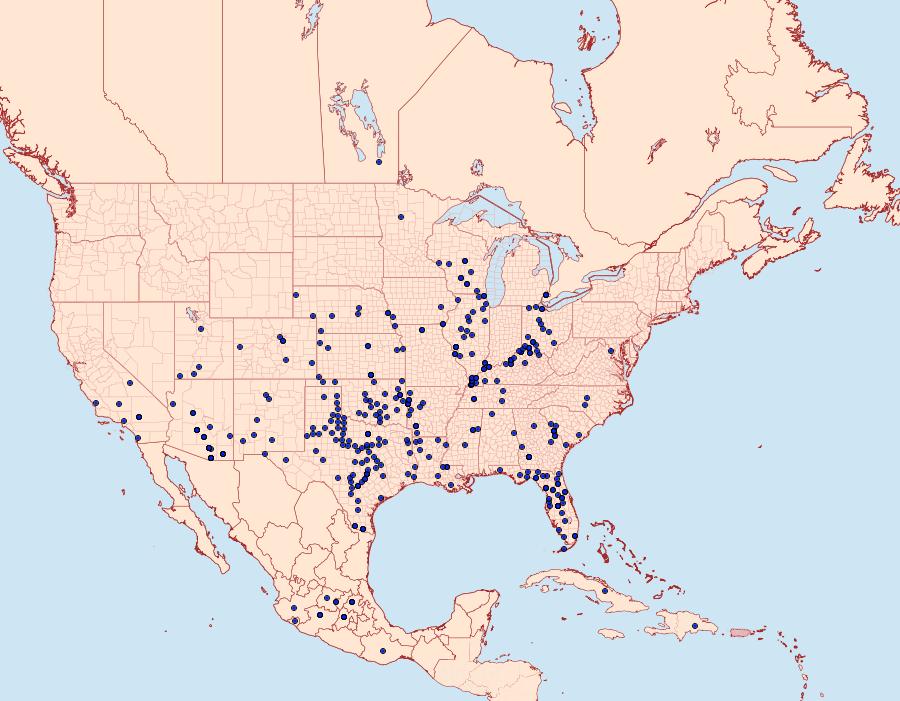 Distribution Data for Zerene cesonia