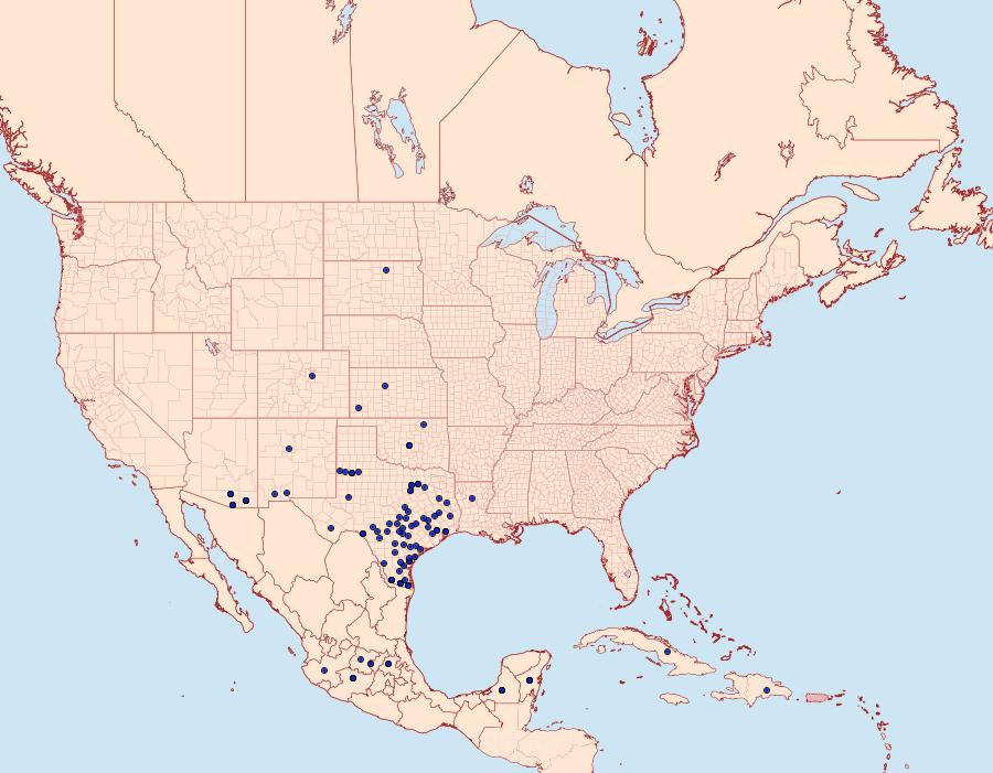 Distribution Data for Anteos clorinde