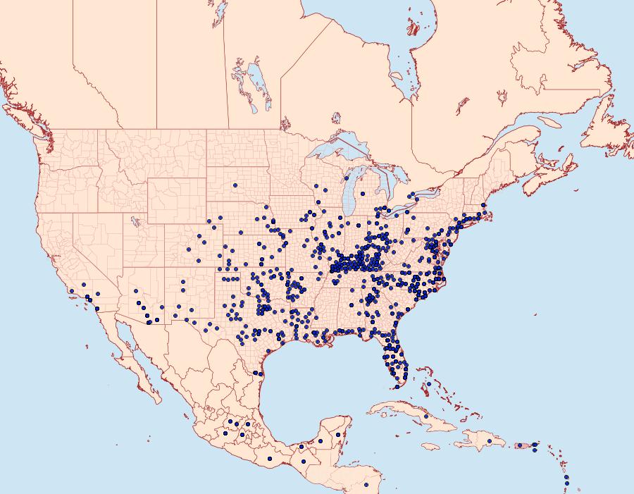 Distribution Data for Phoebis sennae