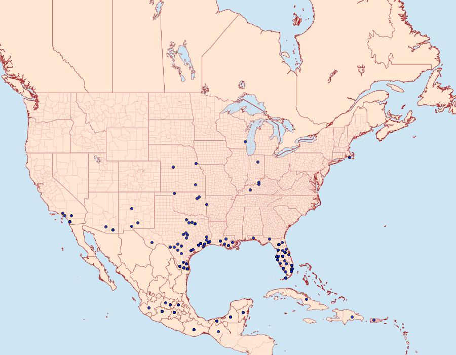 Distribution Data for Phoebis philea