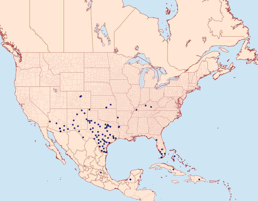 Distribution Data for Kricogonia lyside