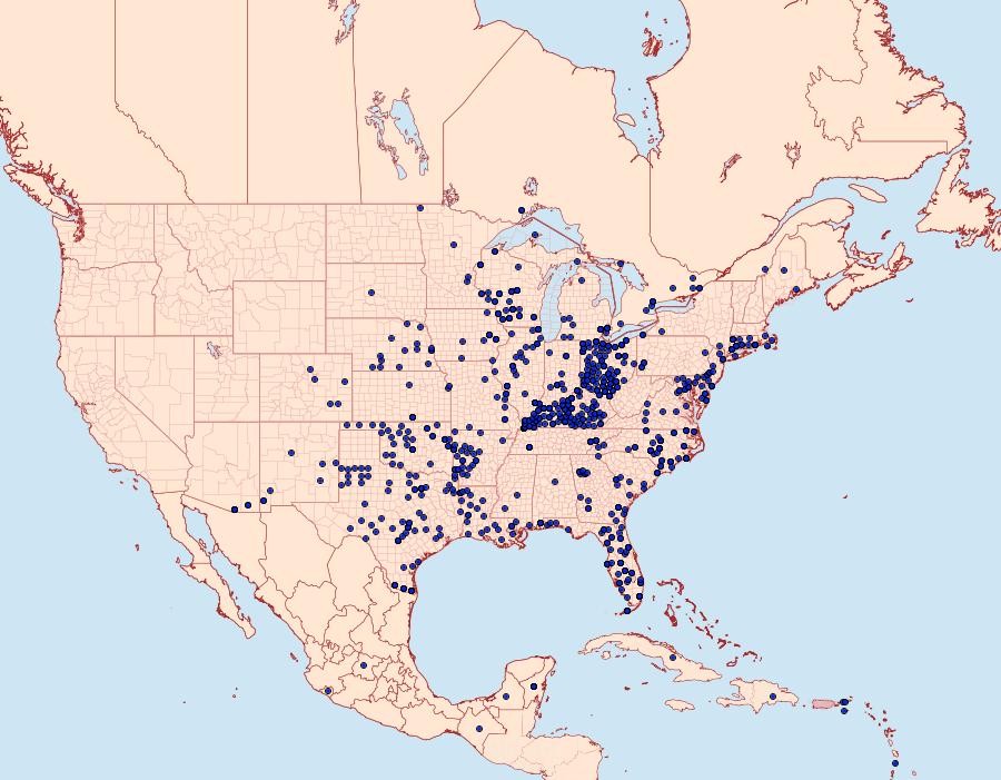 Distribution Data for Pyrisitia lisa