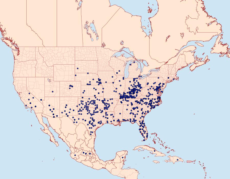 Distribution Data for Abaeis nicippe