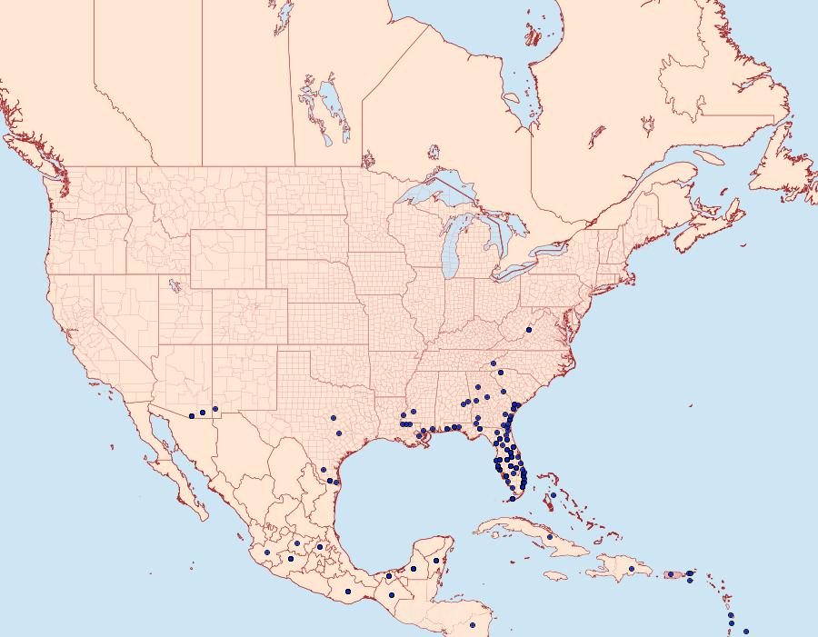 Distribution Data for Eurema daira