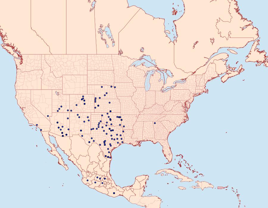 Distribution Data for Abaeis mexicana