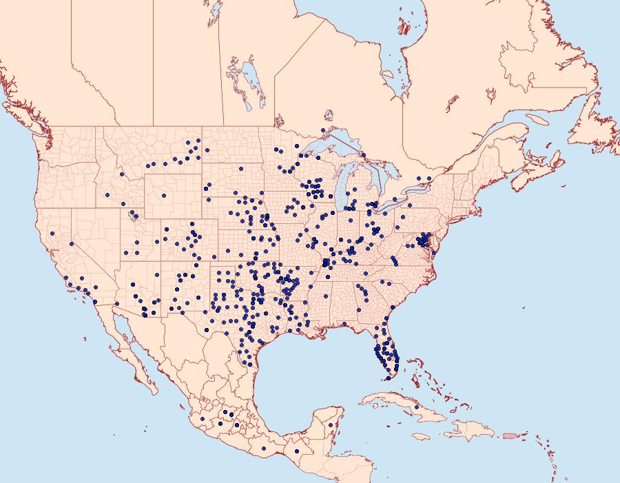 Distribution Data for Nathalis iole