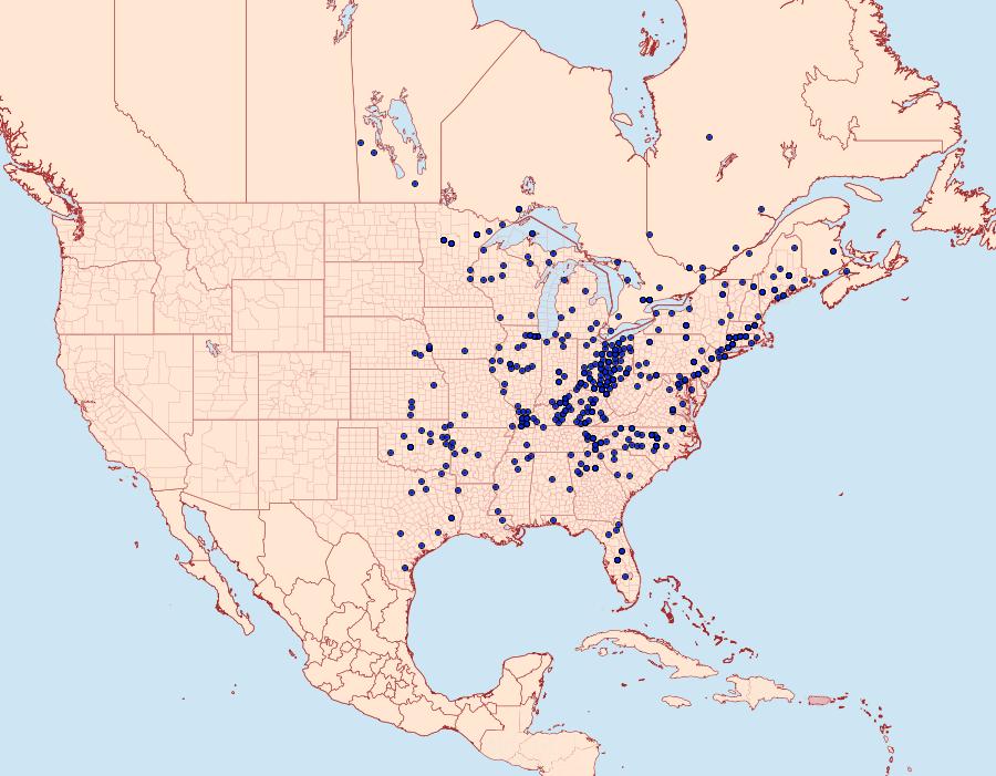 Distribution Data for Feniseca tarquinius