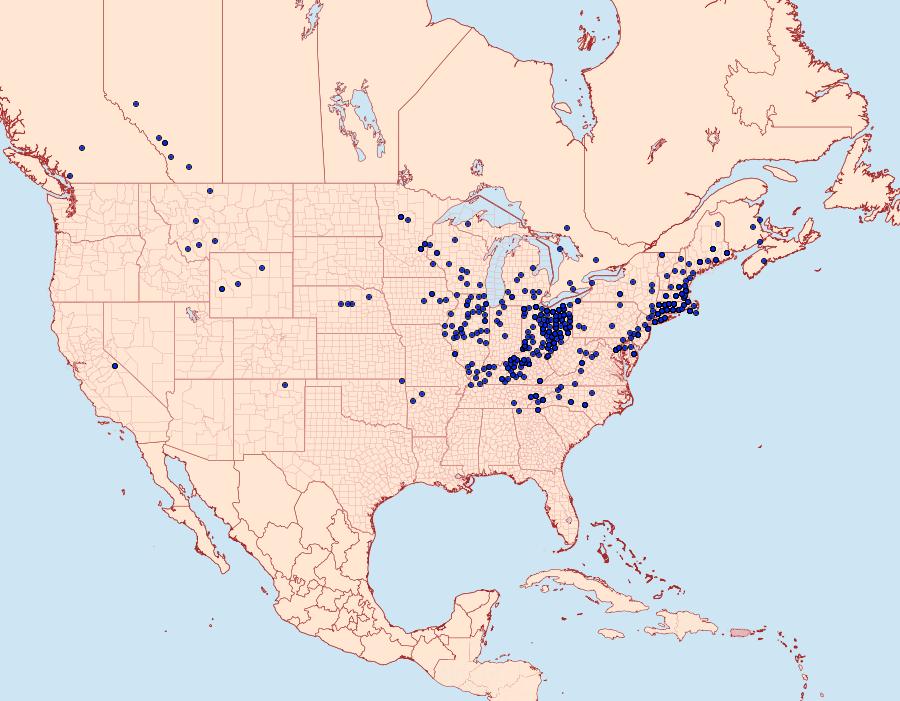 Distribution Data for Lycaena hypophlaeas