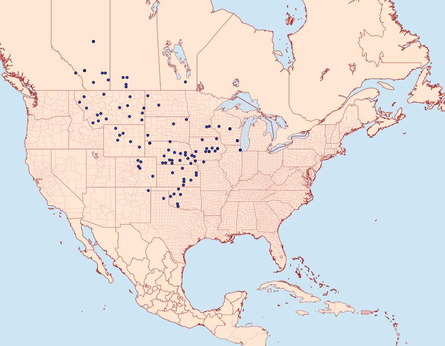 Distribution Data for Tharsalea dione