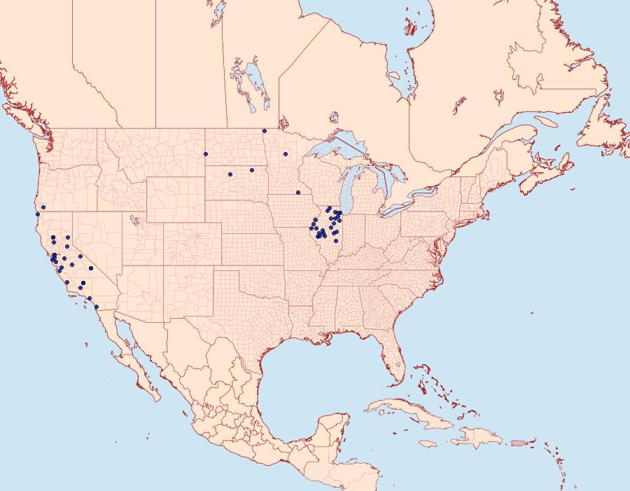 Distribution Data for Tharsalea xanthoides