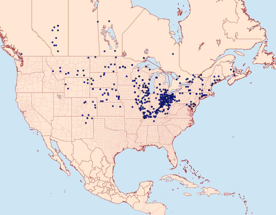 Distribution Data for Tharsalea hyllus