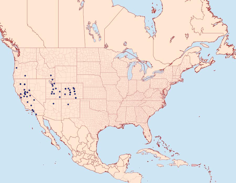 Distribution Data for Tharsalea arota