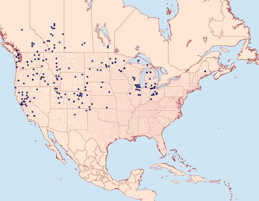 Distribution Data for Tharsalea helloides