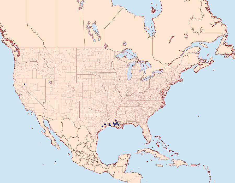 Distribution Data for Tiquadra inscitella