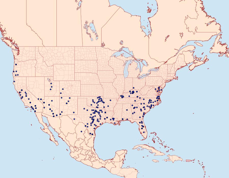 Distribution Data for Atlides halesus