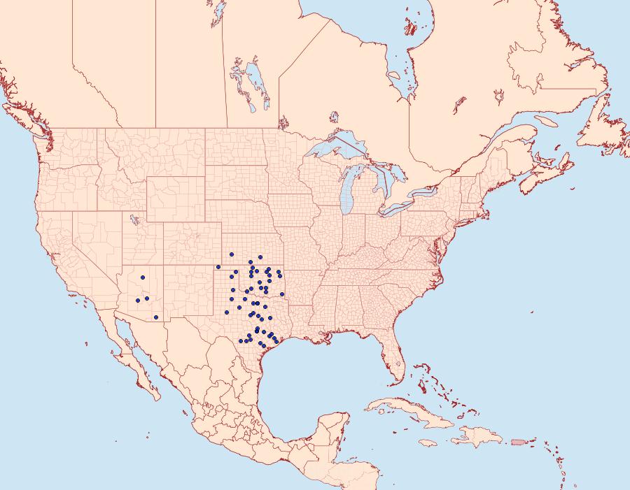 Distribution Data for Satyrium alcestis