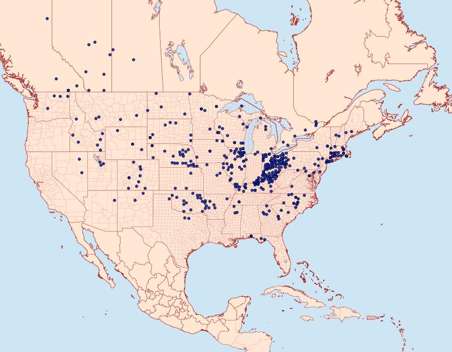 Distribution Data for Satyrium titus