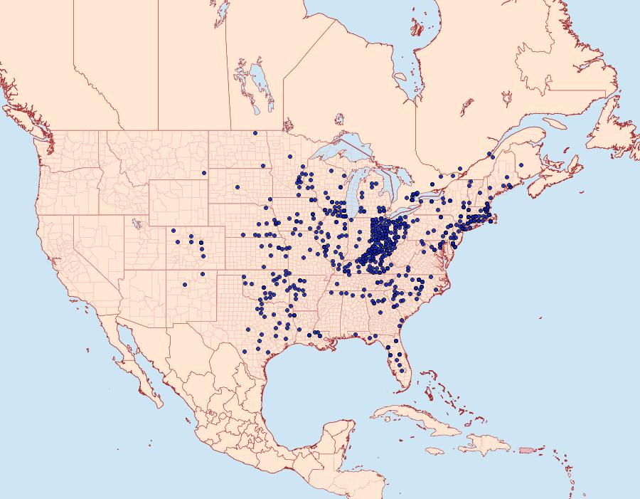 Distribution Data for Satyrium calanus