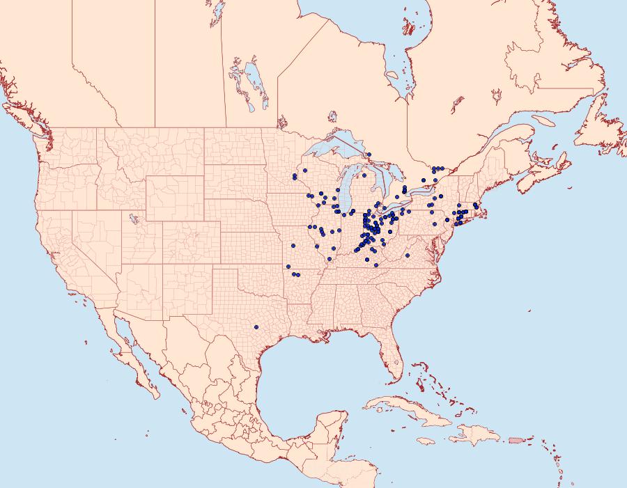 Distribution Data for Satyrium caryaevorus