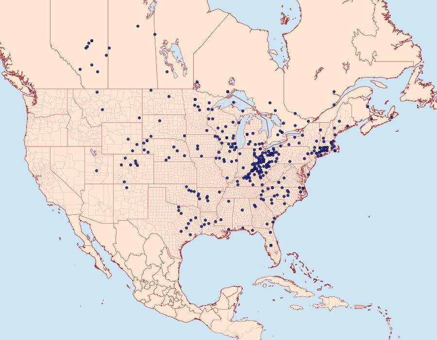 Distribution Data for Satyrium liparops