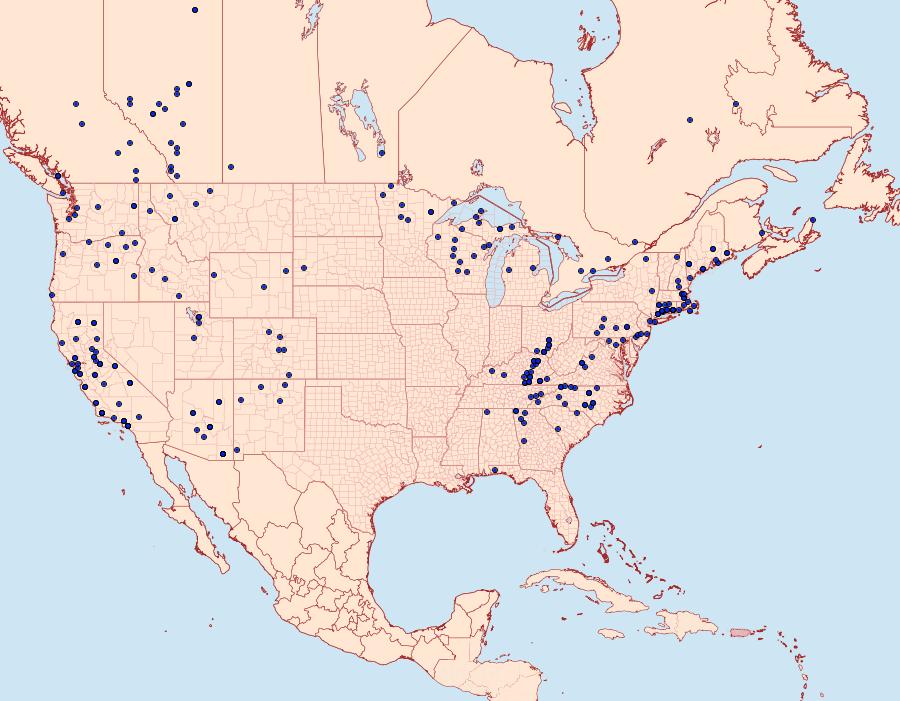 Distribution Data for Callophrys augustinus