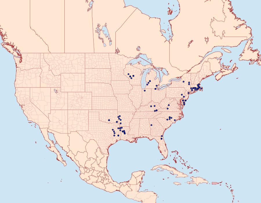 Distribution Data for Callophrys irus