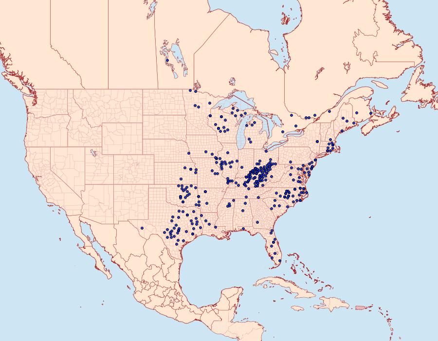 Distribution Data for Callophrys henrici