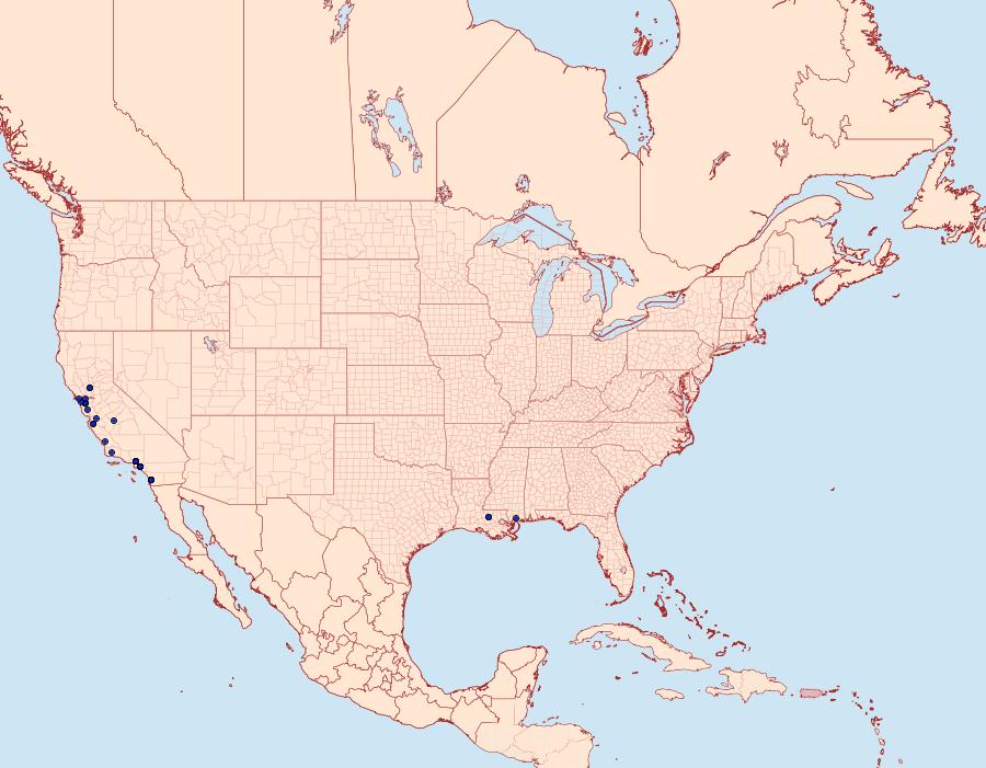 Distribution Data for Opogona omoscopa