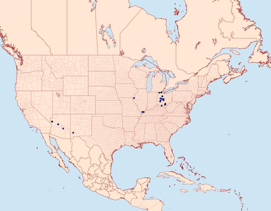 Distribution Data for Satyrium ilavia