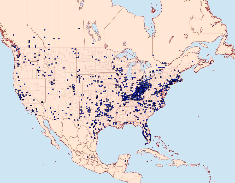 Distribution Data for Strymon melinus