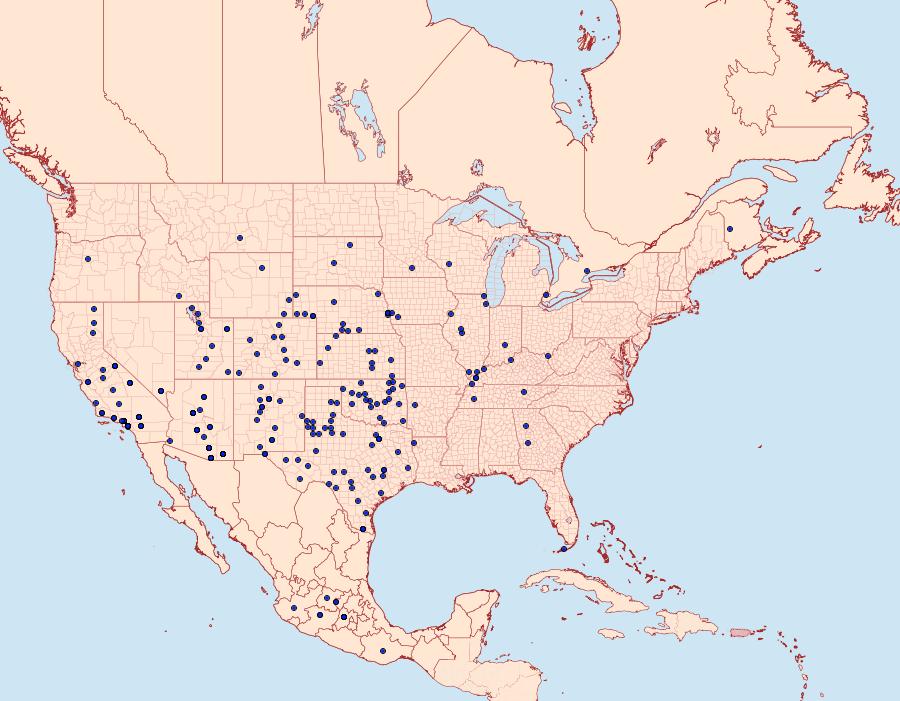 Distribution Data for Leptotes marina