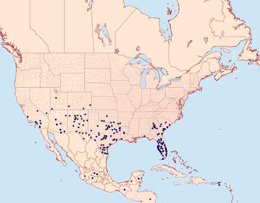 Distribution Data for Hemiargus ceraunus