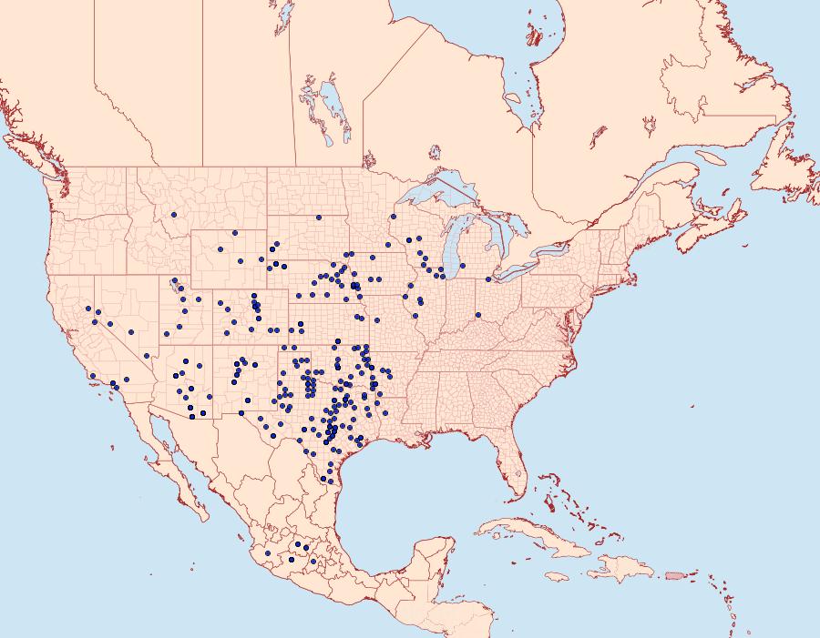 Distribution Data for Echinargus isola